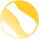 spark icon